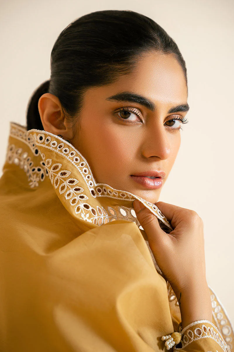 3PC CHIKANKARI SUIT - Image 7