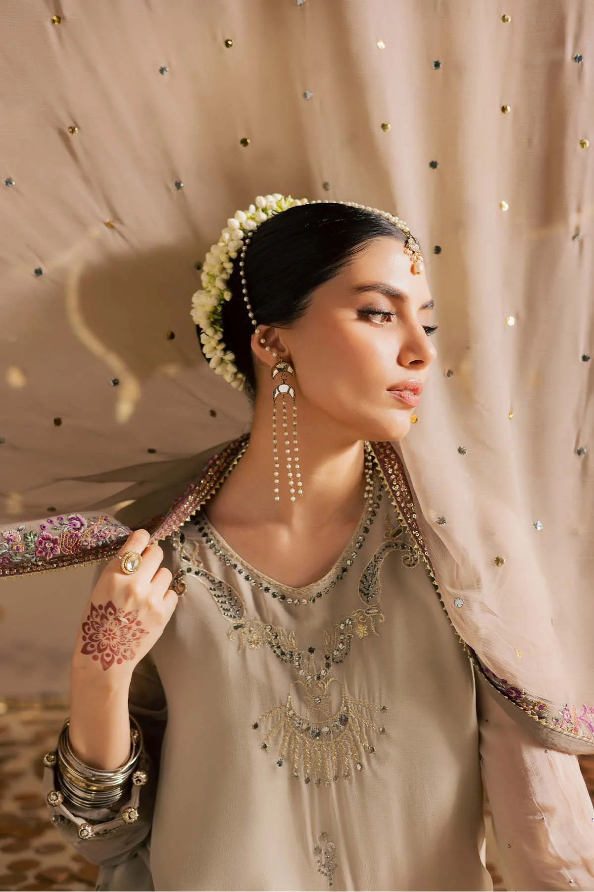 Mukeshkari Embroidered Chiffon - Image 4