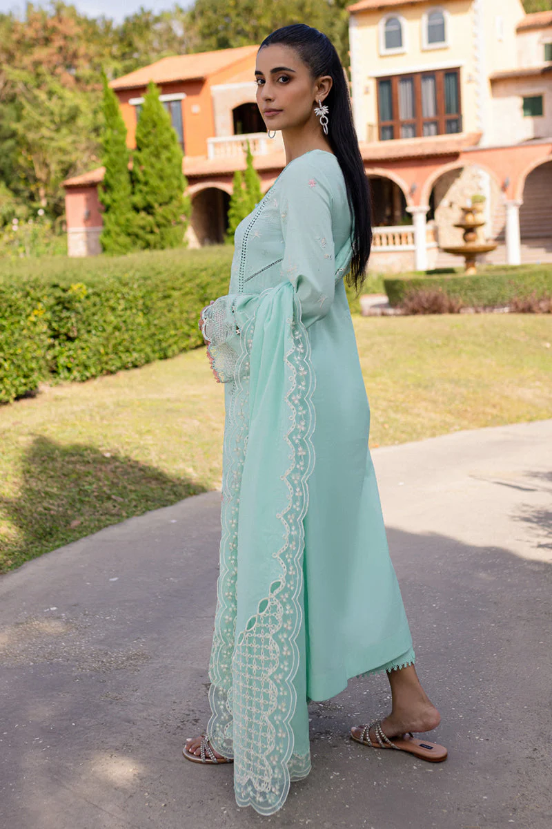 Qline Summer Collection - Image 3